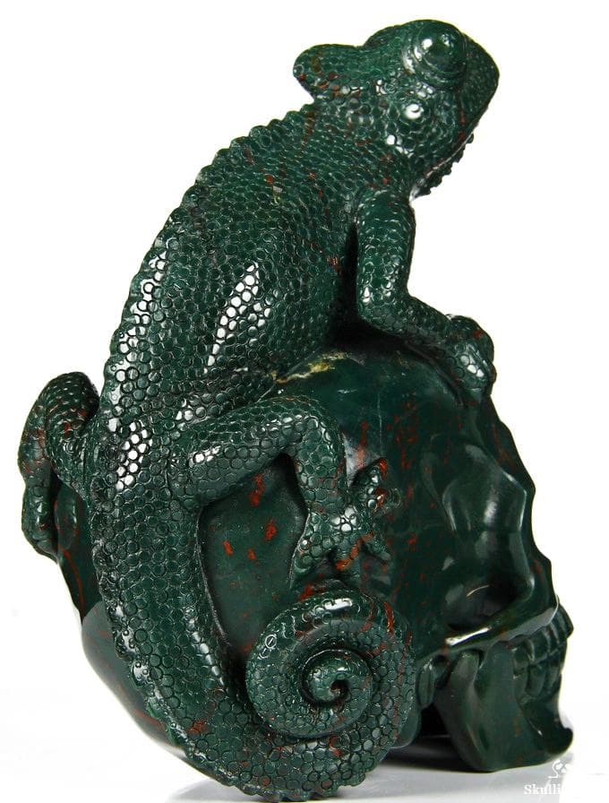 Bloodstone Chameleon on Skull Carving